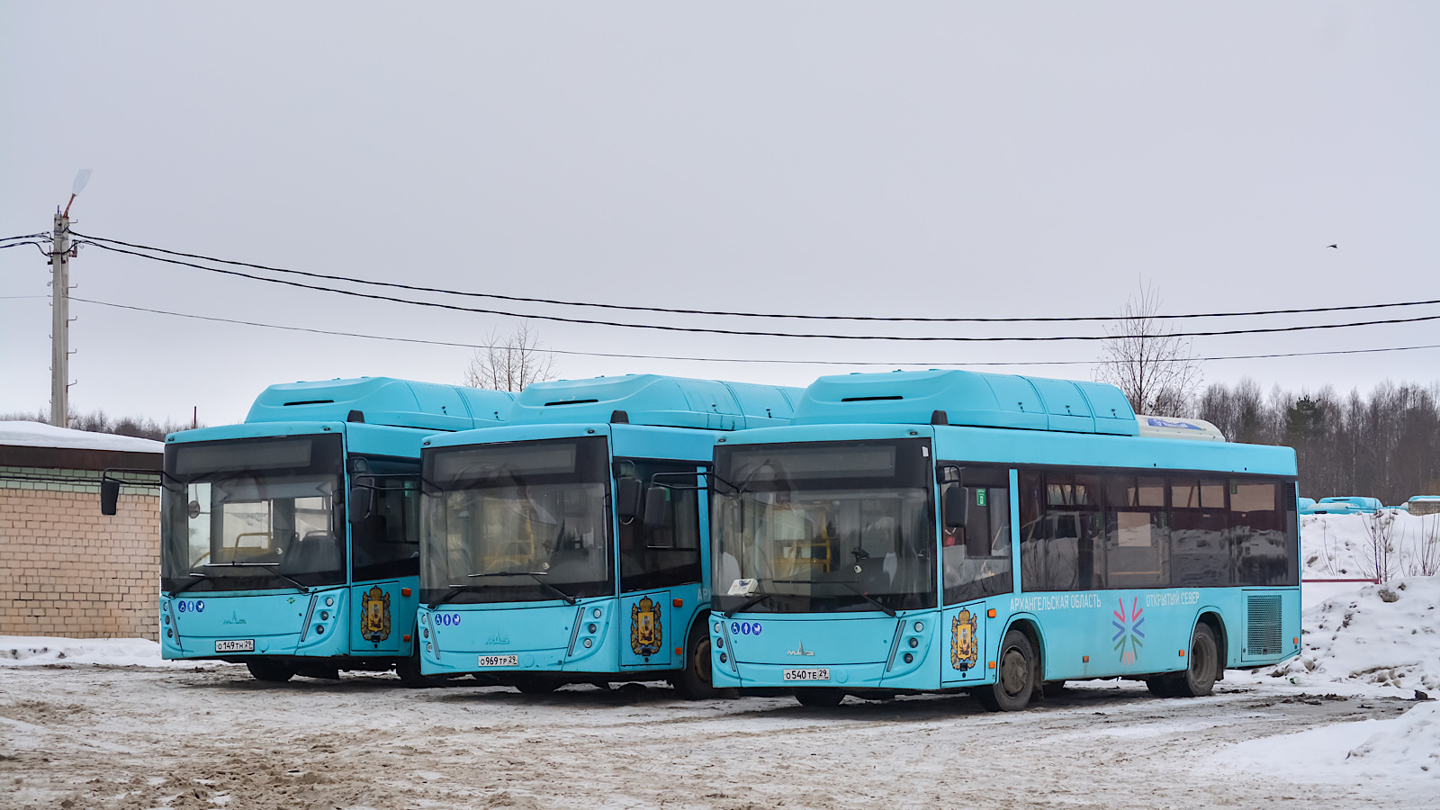 Архангельская область, МАЗ-206.948 № О 540 ТЕ 29