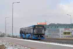 239 КБ