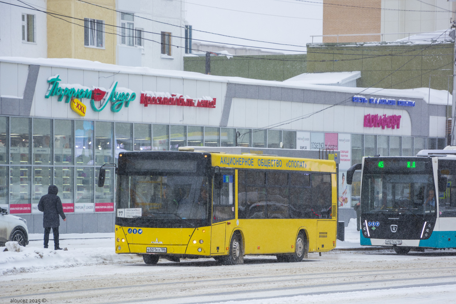 Ханты-Мансийский АО, МАЗ-206.086 № 2563