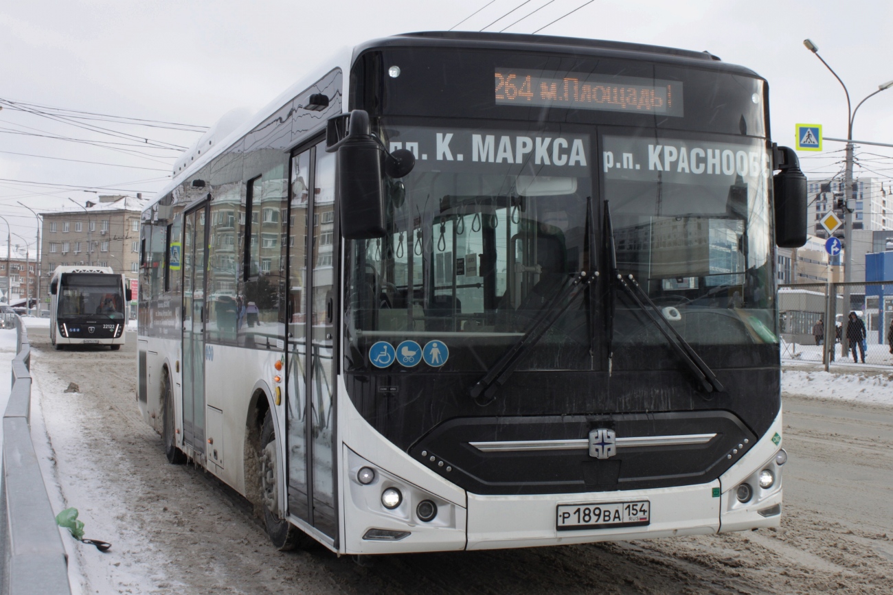 Новосибирская область, Zhong Tong LCK6105HGC Fashion № Р 189 ВА 154