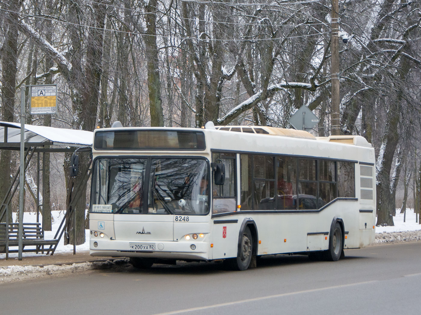 Санкт-Петербург, МАЗ-103.486 № 8248