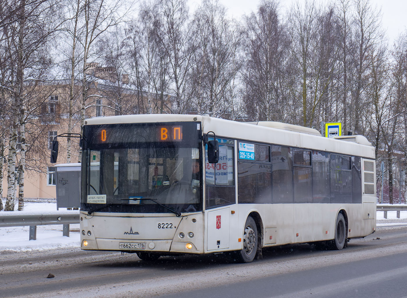 Санкт-Петербург, МАЗ-203.085 № 8222