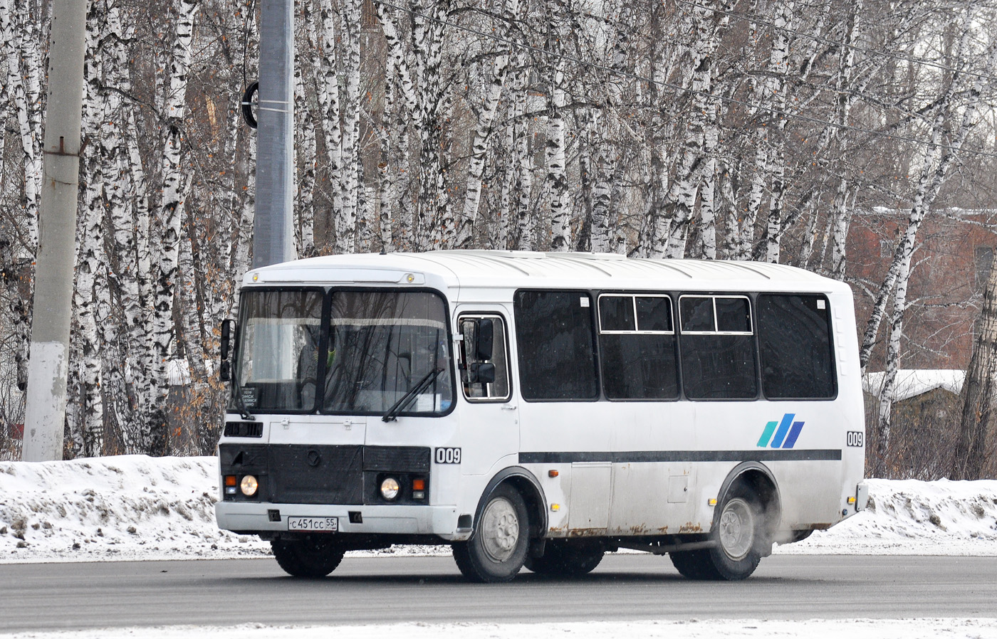 Омская область, ПАЗ-32053 № 009