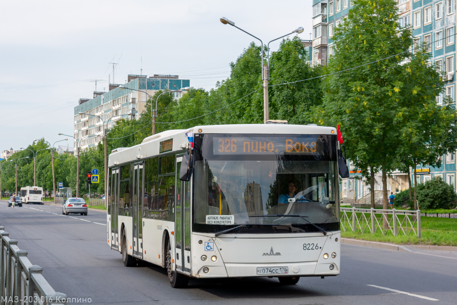 Санкт-Петербург, МАЗ-203.085 № 8226