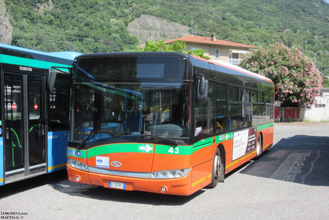 Италия, Solaris Urbino III 10 № 43