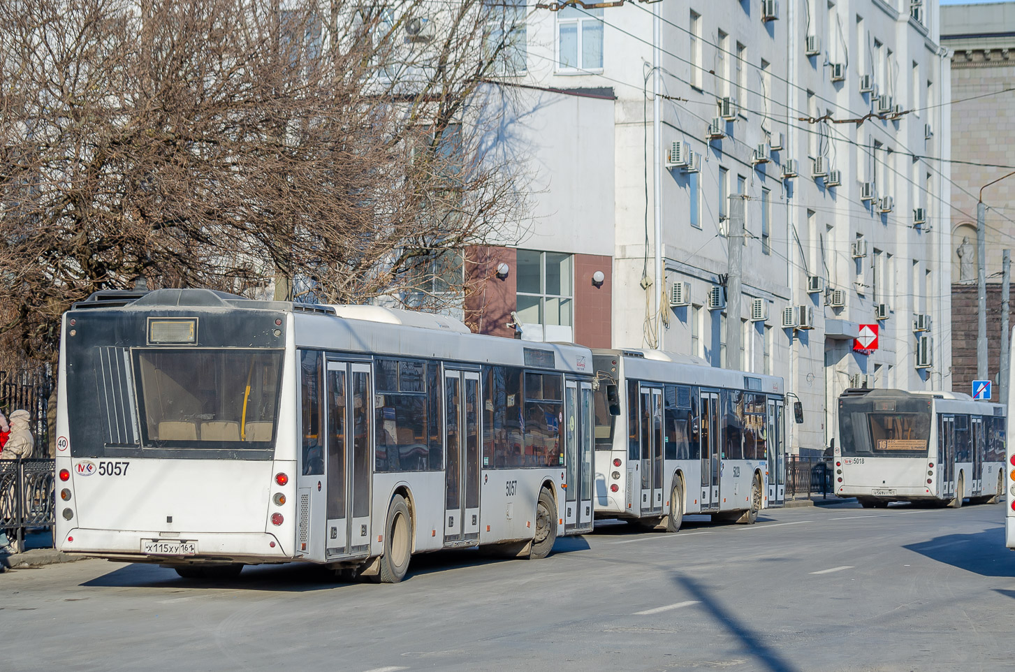 Ростовская область, МАЗ-203.069 № 5057