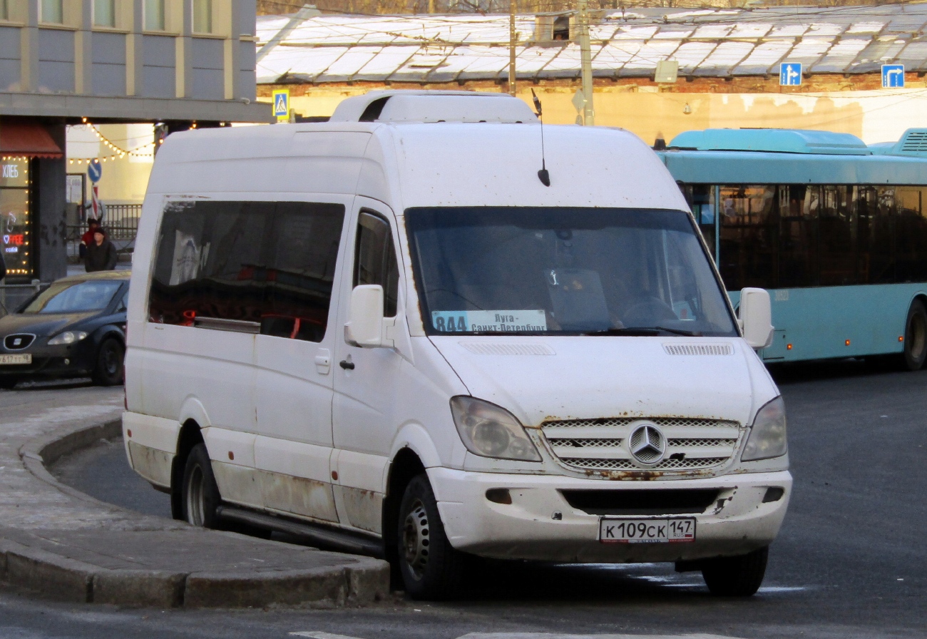 Ленинградская область, Луидор-22360C (MB Sprinter) № К 109 СК 147