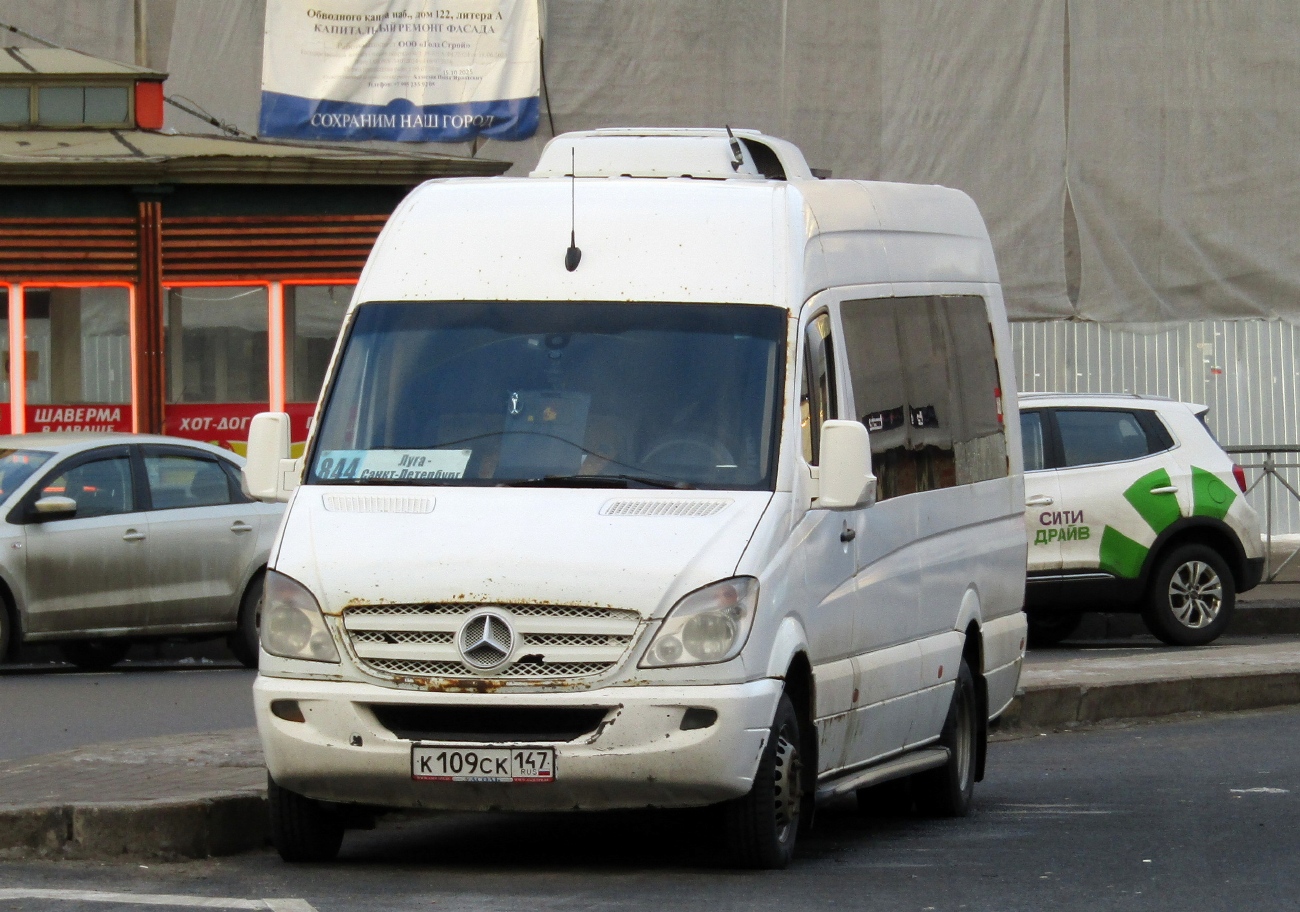 Ленинградская область, Луидор-22360C (MB Sprinter) № К 109 СК 147