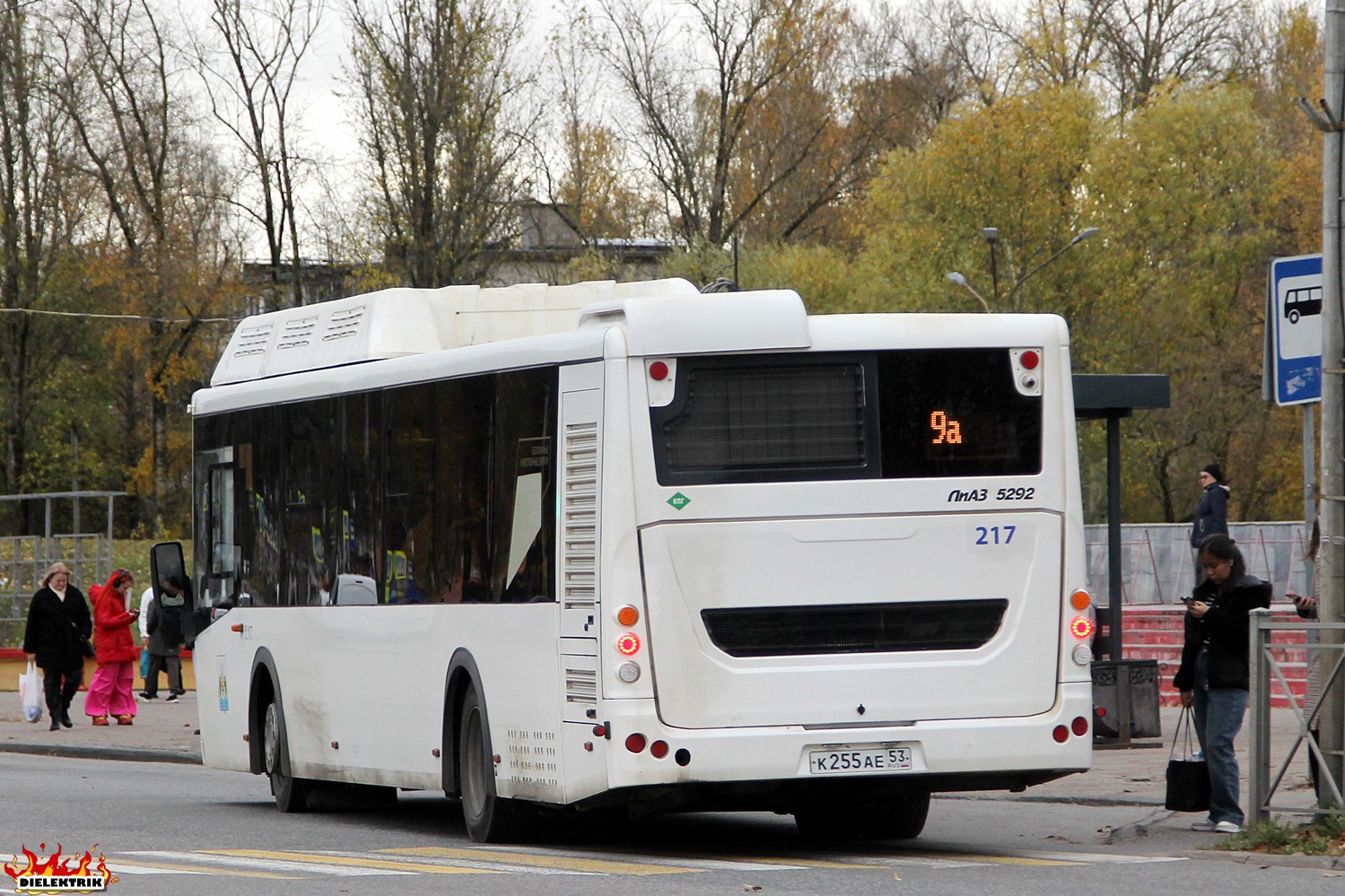 Новгородская область, ЛиАЗ-5292.67 (CNG) № 217