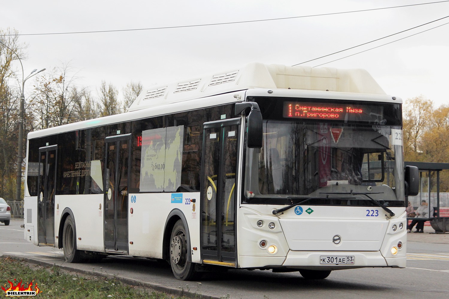 Новгородская область, ЛиАЗ-5292.67 (CNG) № 223