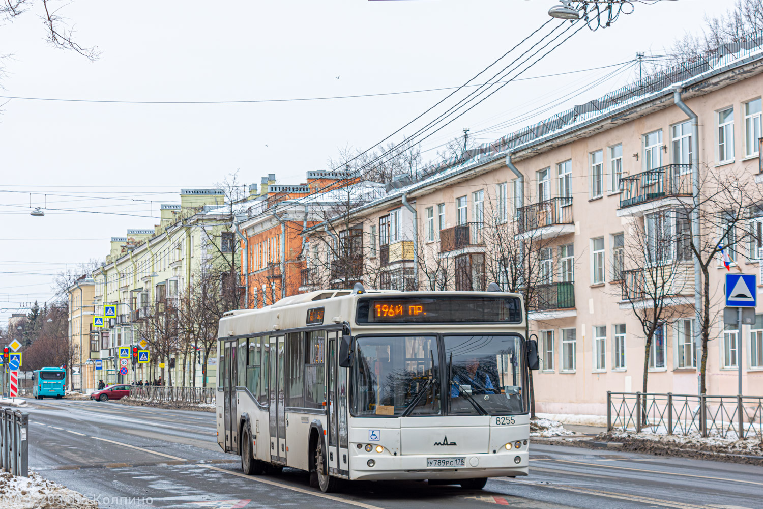 Санкт-Петербург, МАЗ-103.486 № 8255