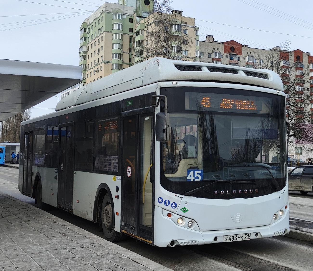 Белгородская область, Volgabus-5270.G2 (CNG) № Х 483 МК 31