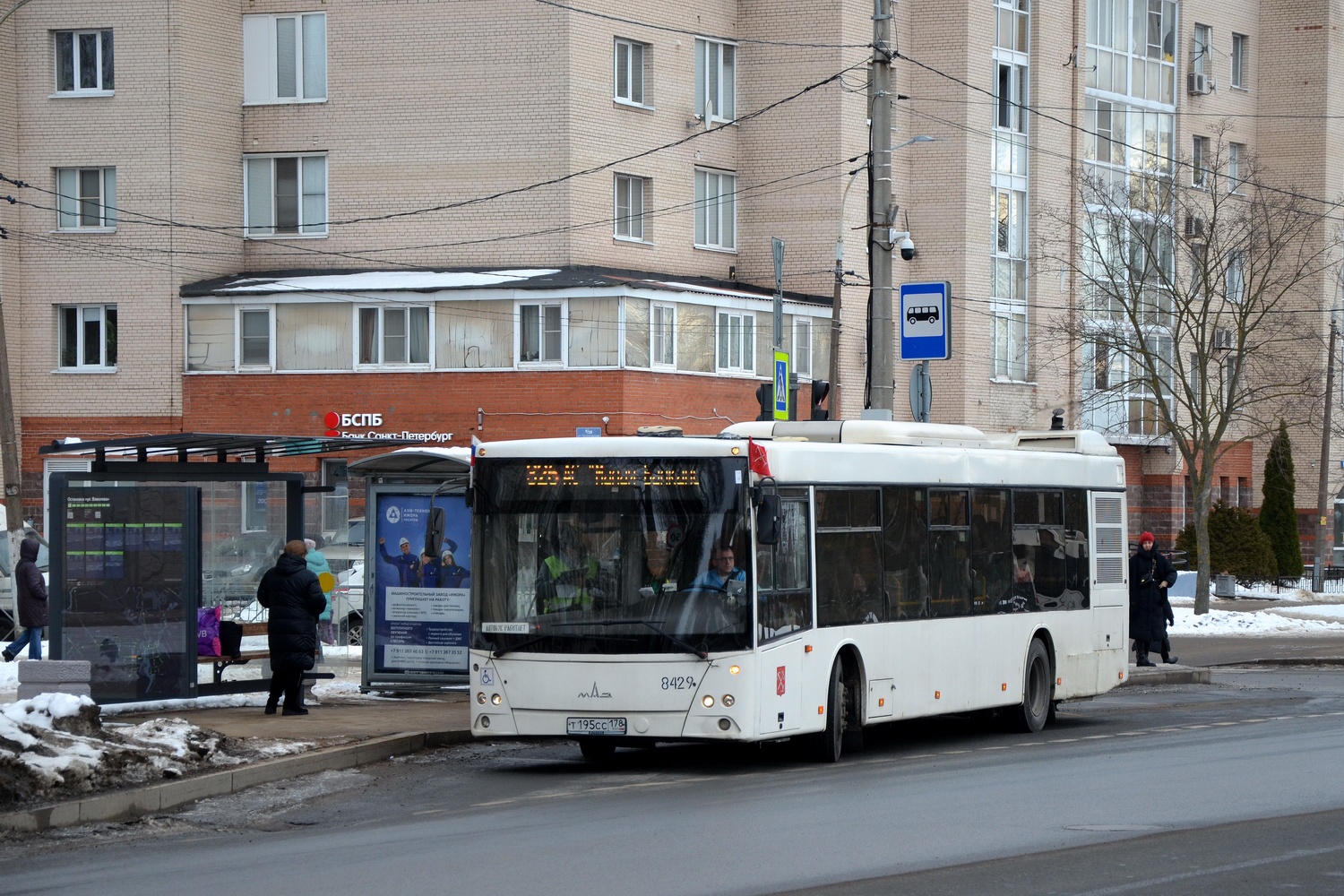 Санкт-Петербург, МАЗ-203.085 № 8429