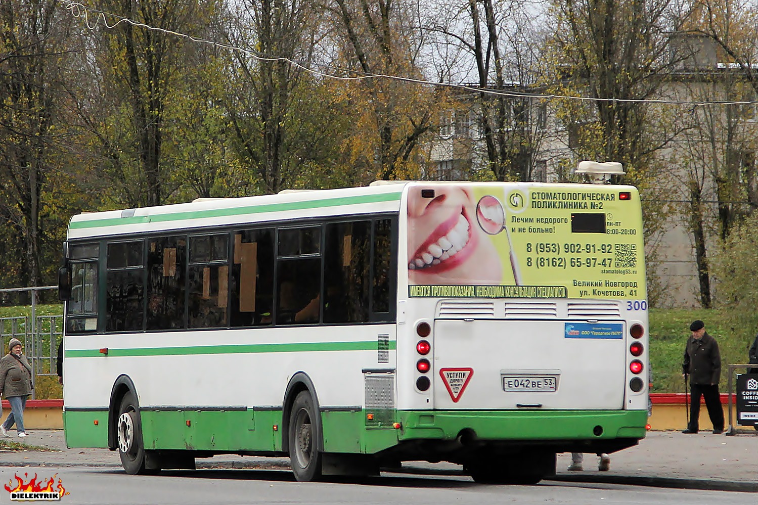 Новгородская область, ЛиАЗ-5256.53 № 300