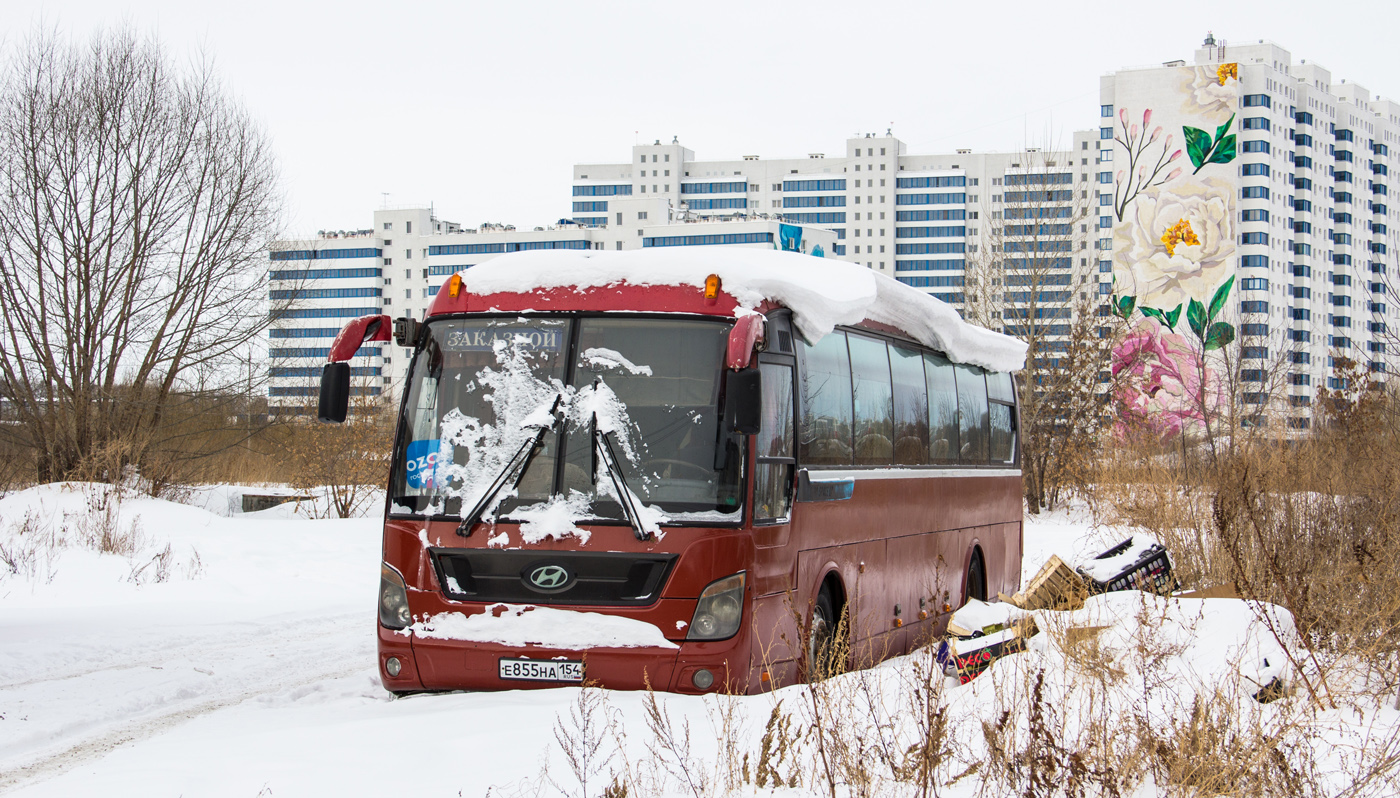 Новосибирская область, Hyundai AeroSpace LD № Е 855 НА 154