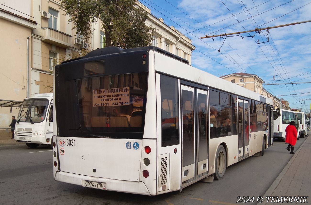 Ростовская область, МАЗ-203.069 № 6031