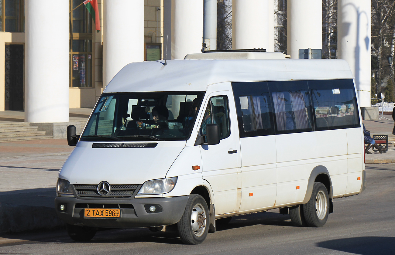Витебская область, Луидор-223237 (MB Sprinter Classic) № 2 ТАХ 5965