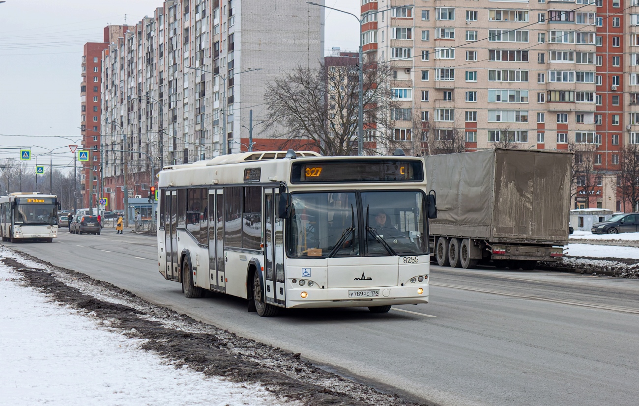 Санкт-Петербург, МАЗ-103.486 № 8255