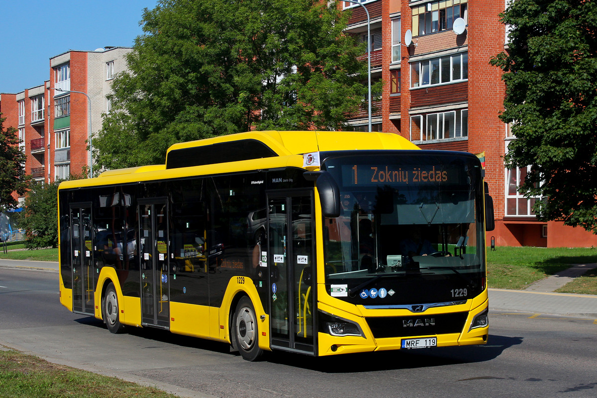 Литва, MAN 12C Lion's City 12 G NL280 EfficientHybrid № 1229