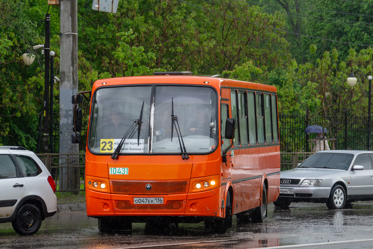 Воронежская область, ПАЗ-320414-05 "Вектор" № 10431