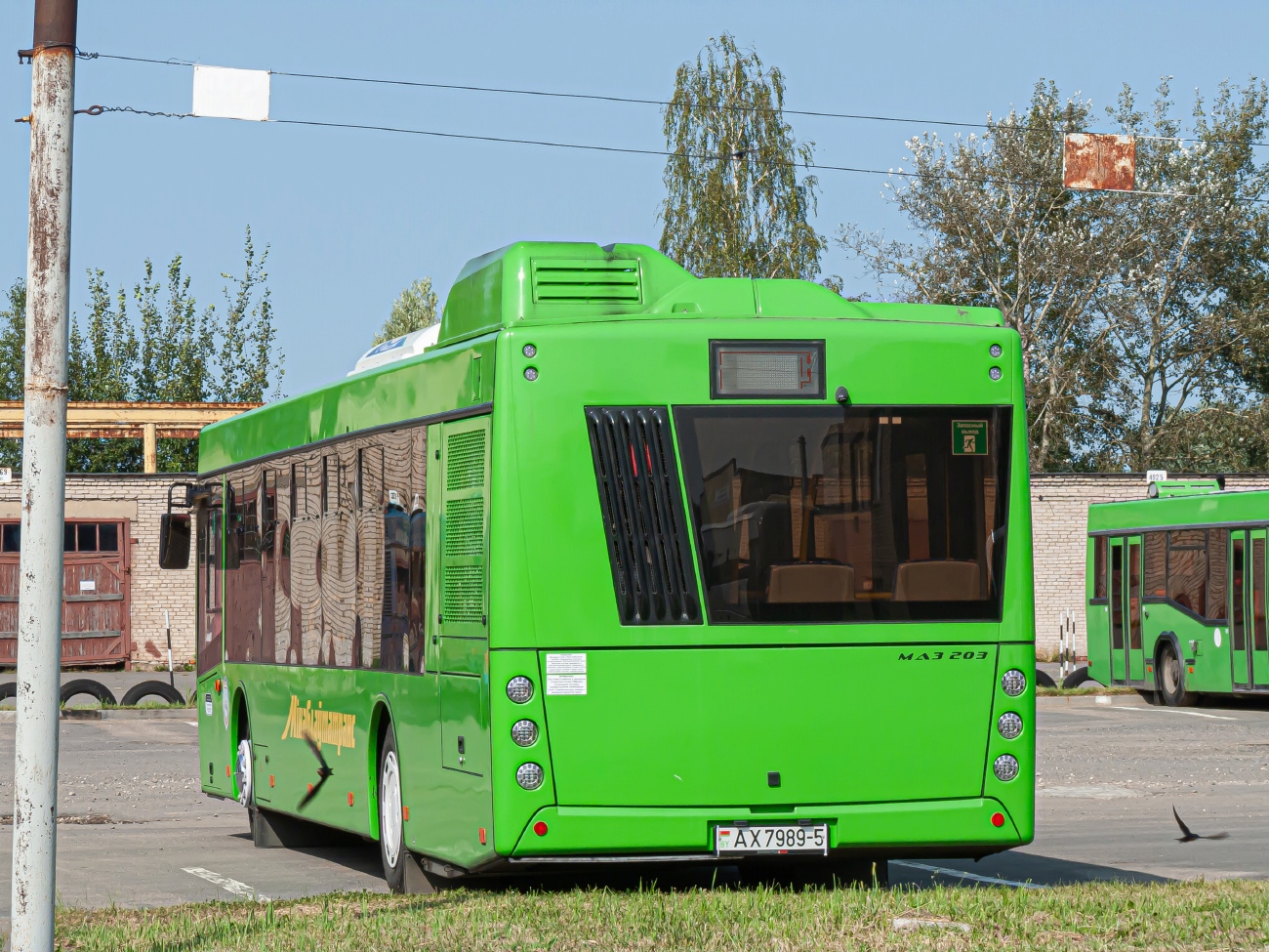 Минская область, МАЗ-203.047 № 022080 Минская область, МАЗ-203.047 № 022080