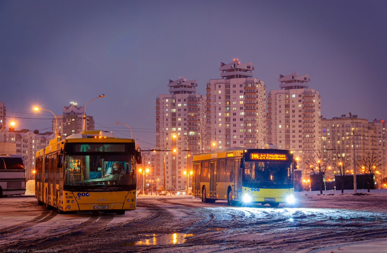 Минск, МАЗ-215.069 № 043346; Минск, МАЗ-203.016 № 014834