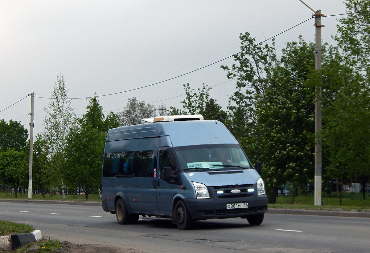 Белгородская область, Нижегородец-222702 (Ford Transit) № Х 081 МЕ 31