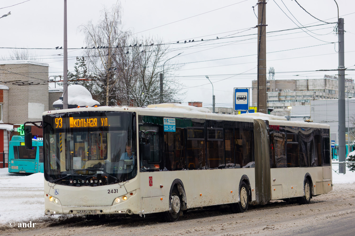 Санкт-Петербург, Volgabus-6271.00 № 2431