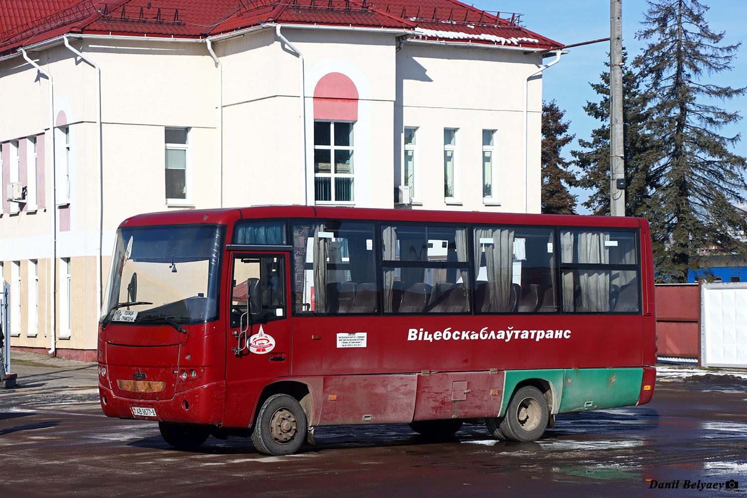 Витебская область, МАЗ-256.170 № 019879