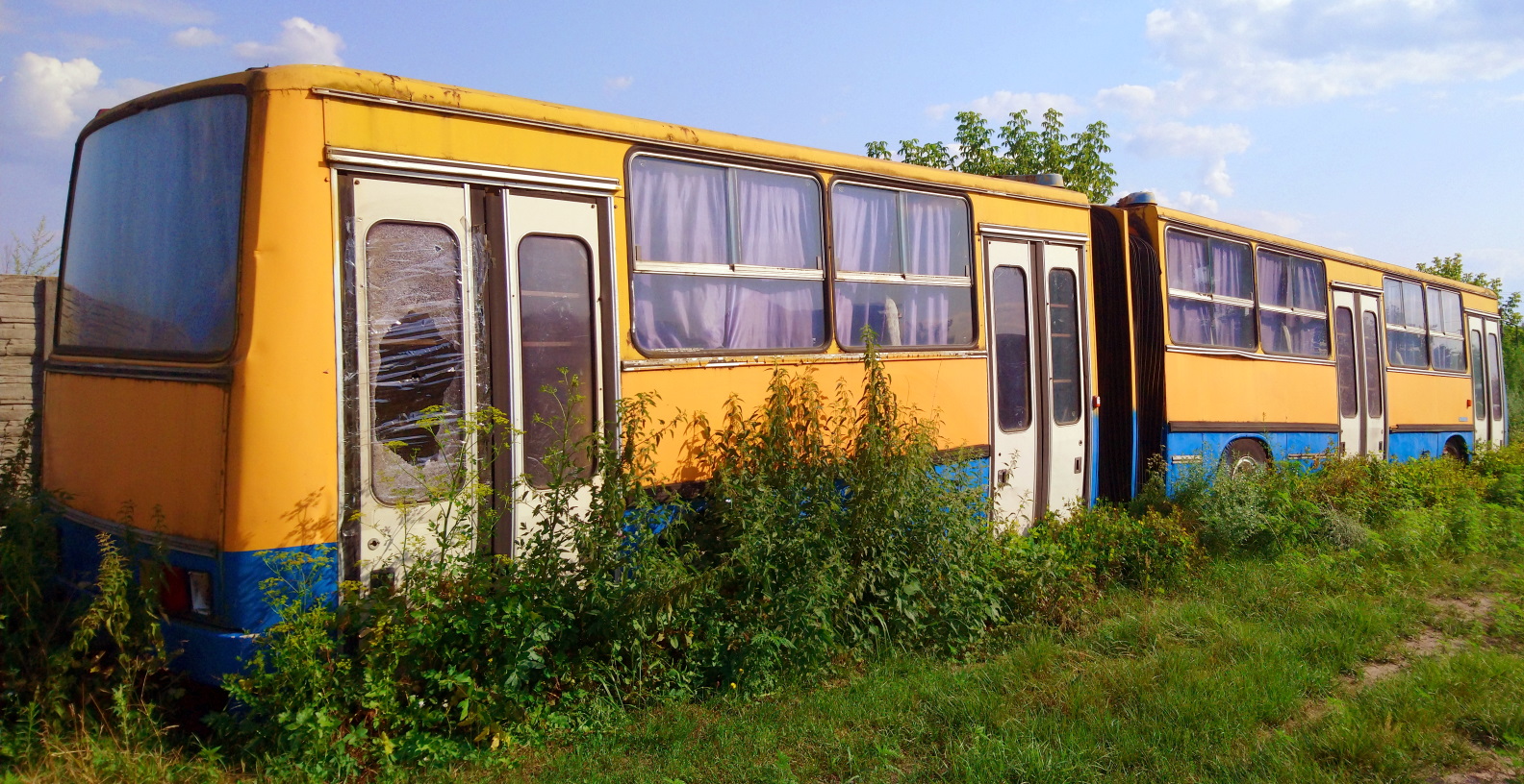 Черкасская область, Ikarus 280.64 № 511-57 КН