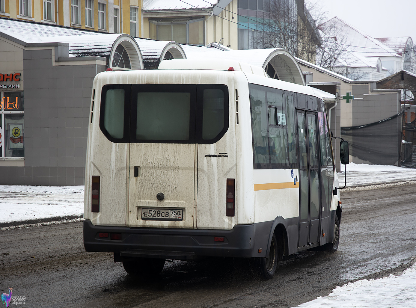 Московская область, Луидор-2250DS (ГАЗ Next) № 107528