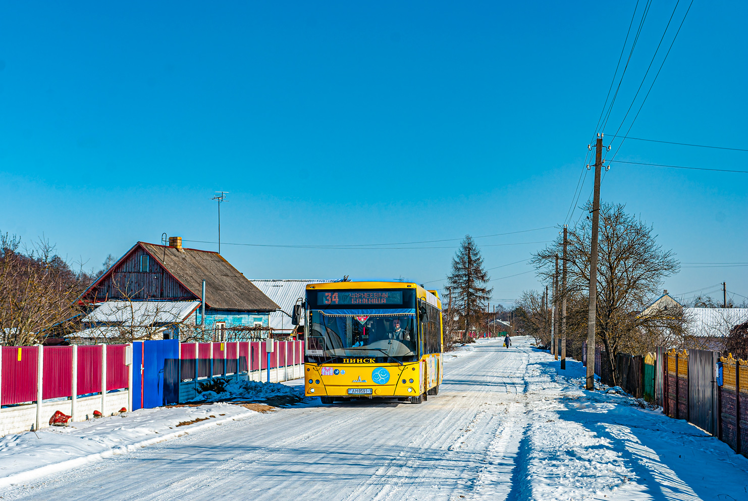 Брестская область, МАЗ-203.016 № 45314