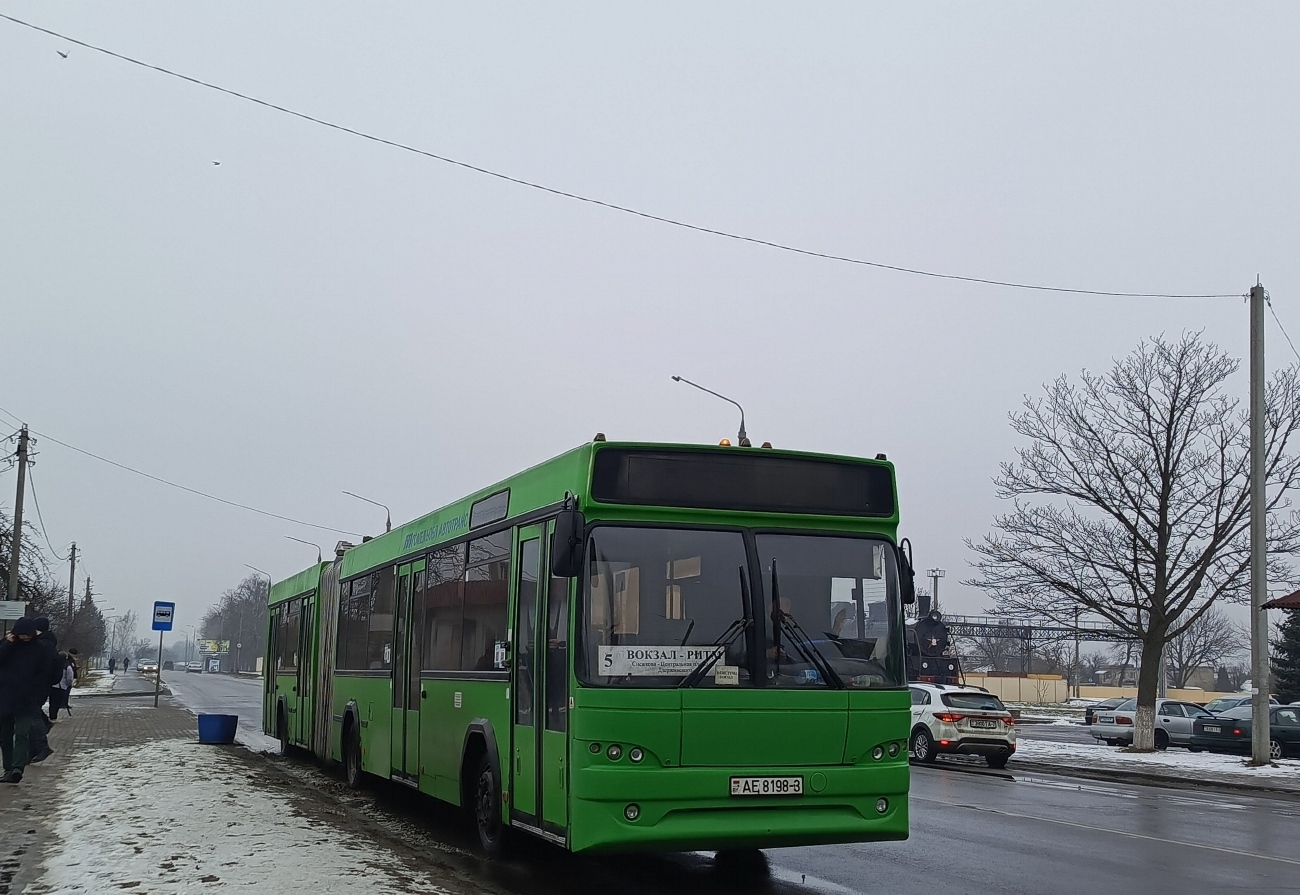Гомельская область, МАЗ-105.465 № 013919