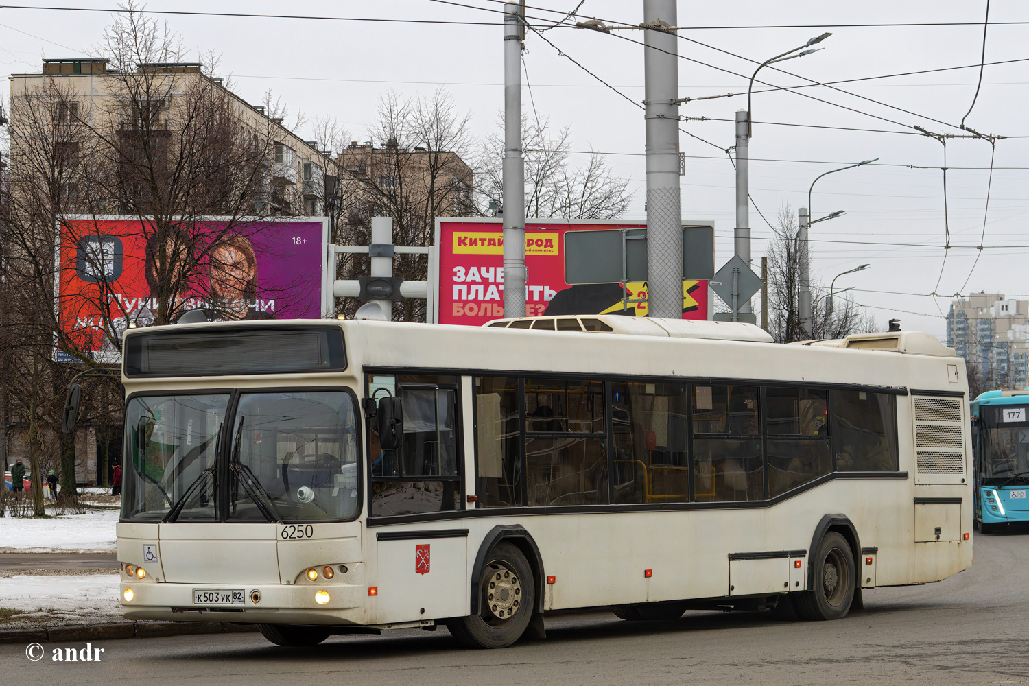 Санкт-Петербург, МАЗ-103.486 № 6250; Санкт-Петербург, МАЗ-203.947 № 38268