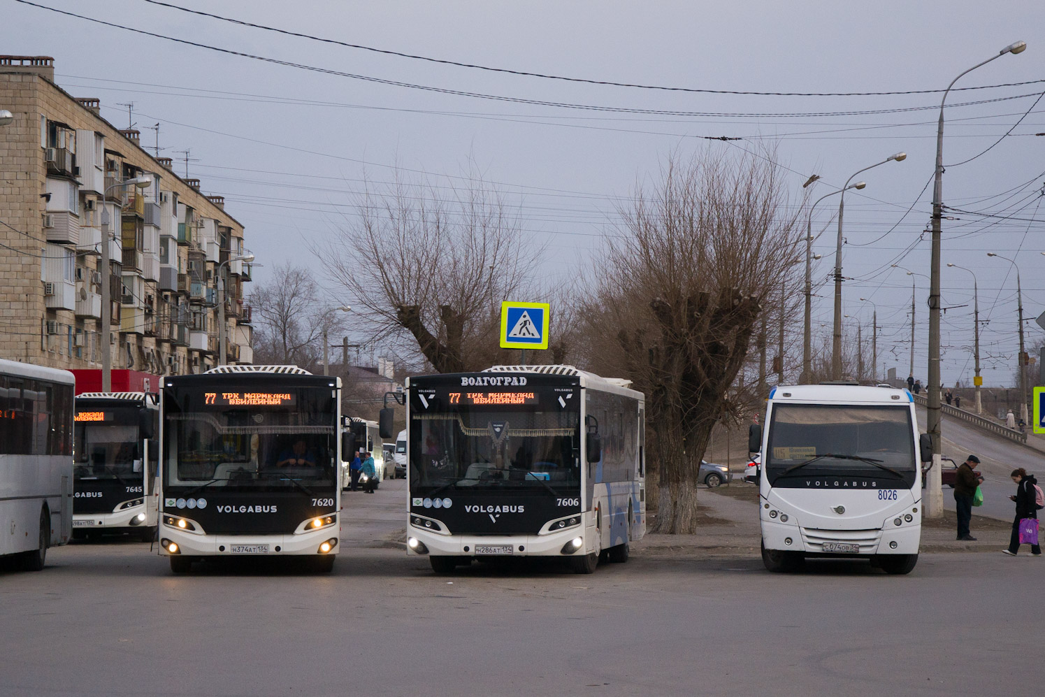 Волгоградская область, Volgabus-5270.G2 (LNG) № 7620; Волгоградская область, Volgabus-5270.G2 (LNG) № 7606; Волгоградская область, Volgabus-4298.01 № 8026; Волгоградская область — Разные фотографии
