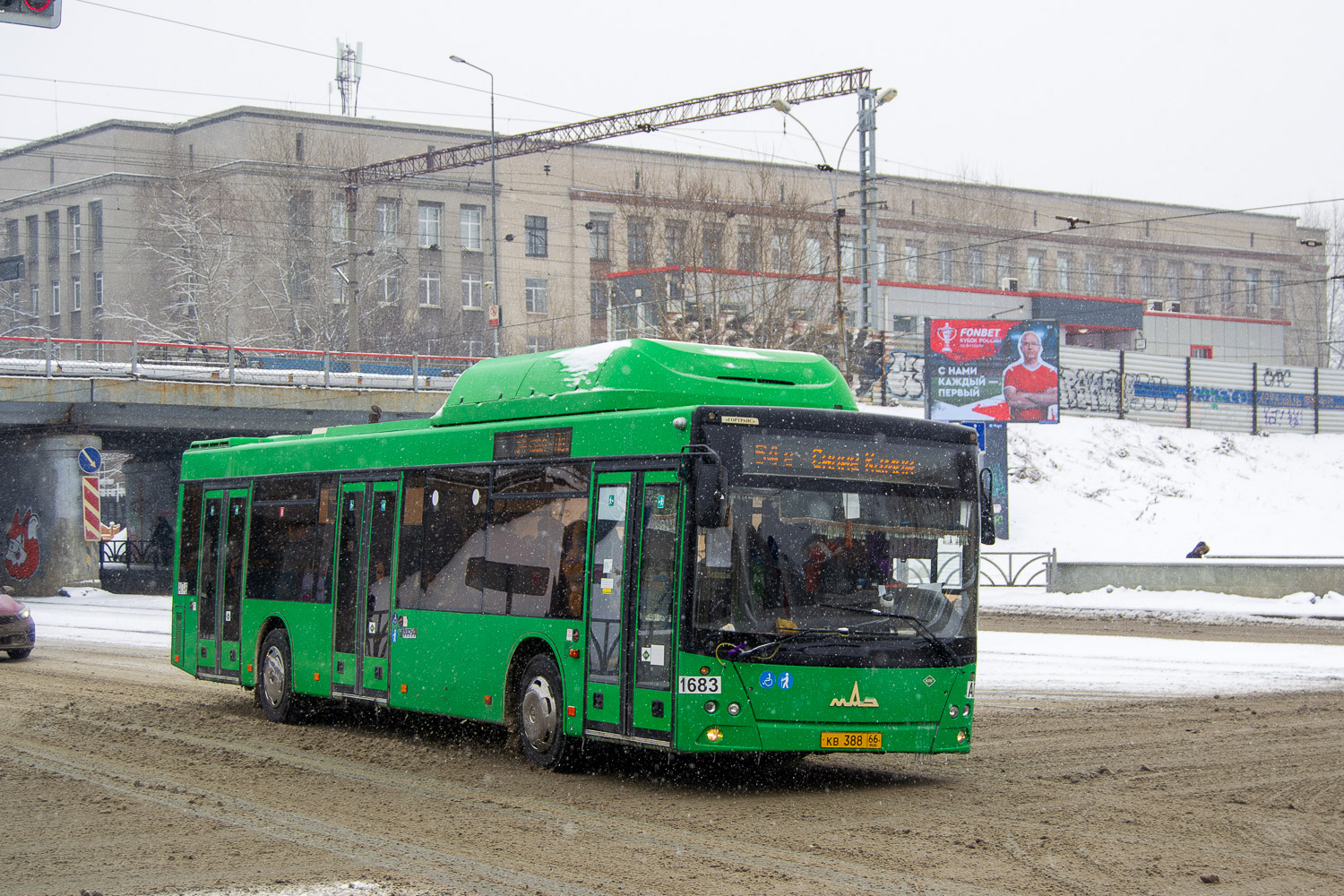 Свердловская область, МАЗ-203.L65 № 1683 Свердловская область, МАЗ-203.L65 № 1683