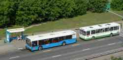 Moscow, MAZ-103.041 # 08542; Moscow, LiAZ-5256.25 # 08619