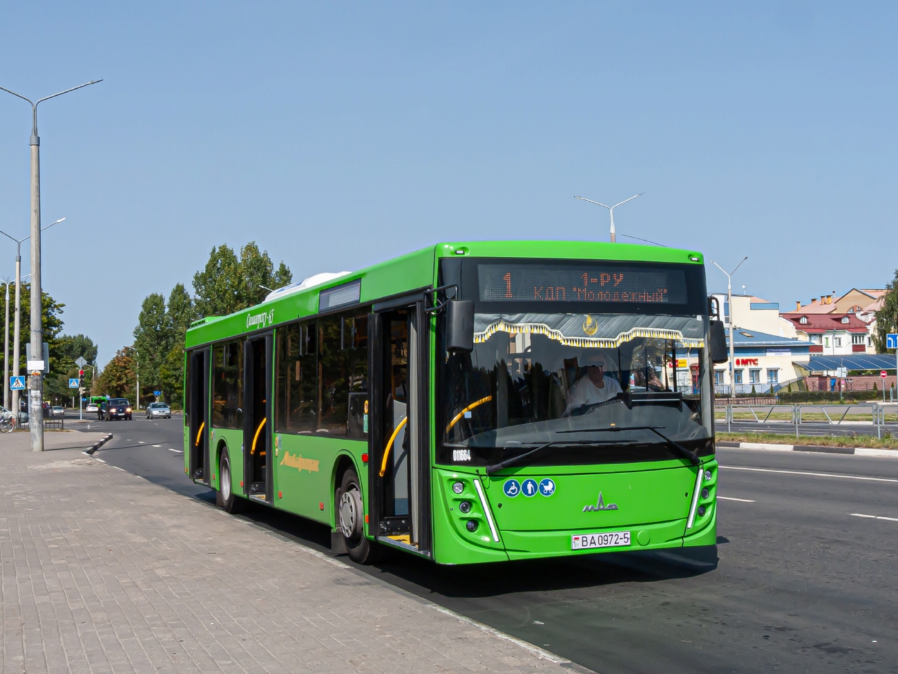 Минская область, МАЗ-203.047 № 011664 Минская область, МАЗ-203.047 № 011664