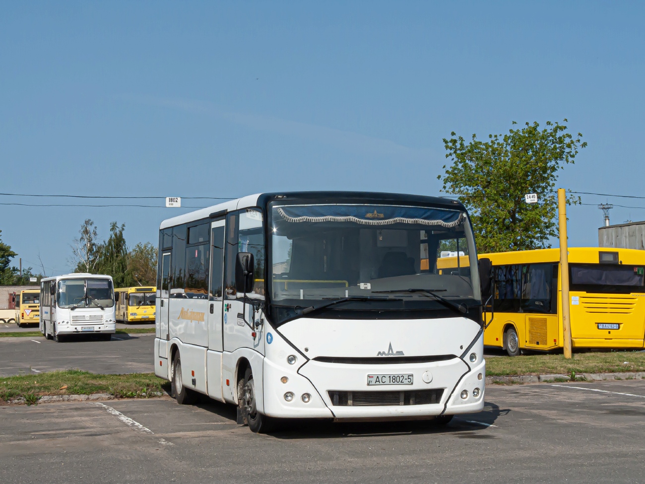 Минская область, МАЗ-241.030 № АС 1802-5
