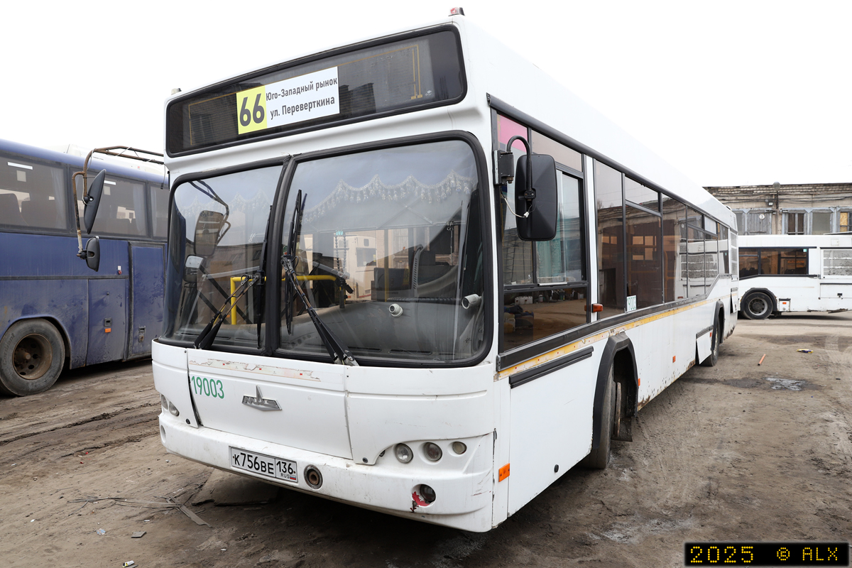 Воронежская область, МАЗ-103.585 № 19003