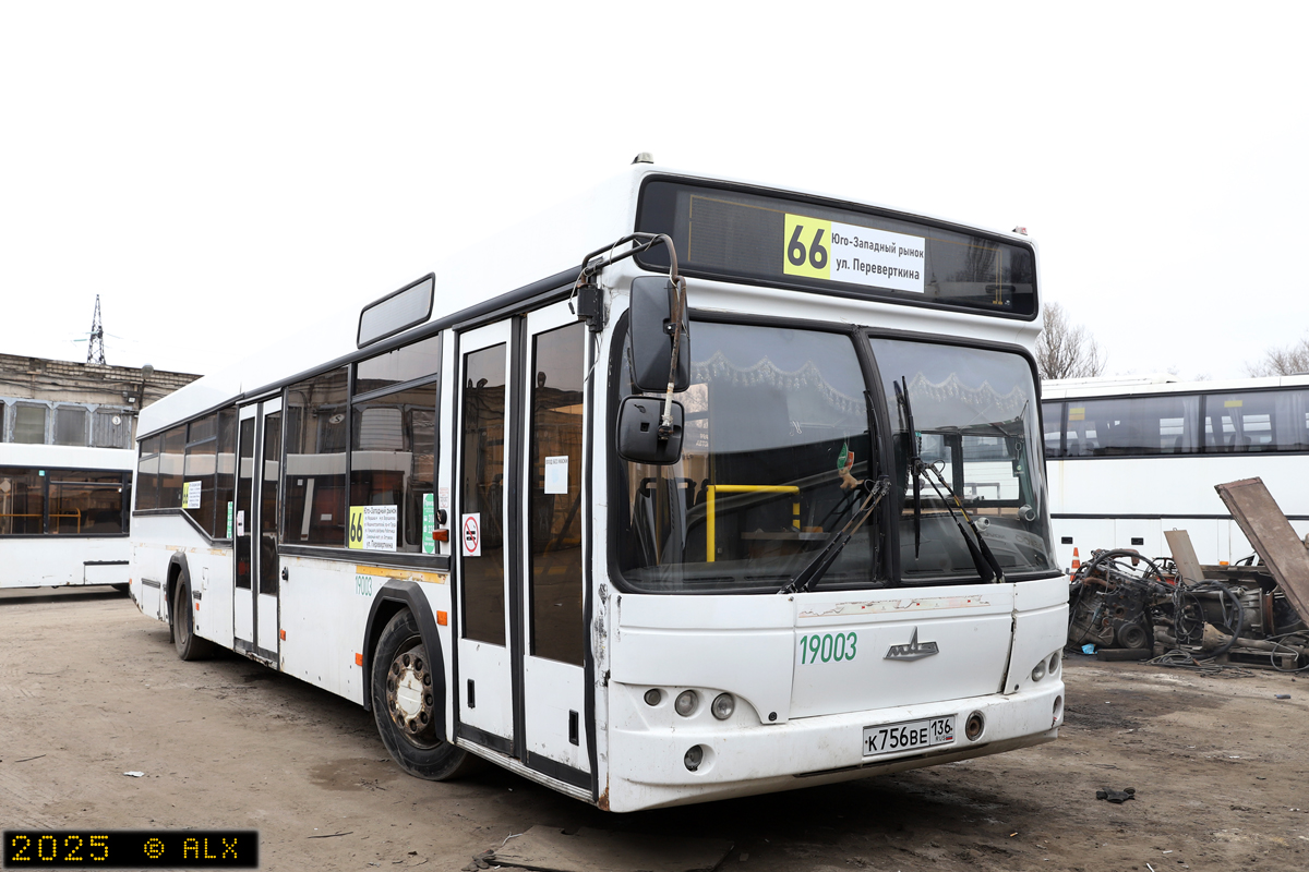 Воронежская область, МАЗ-103.585 № 19003