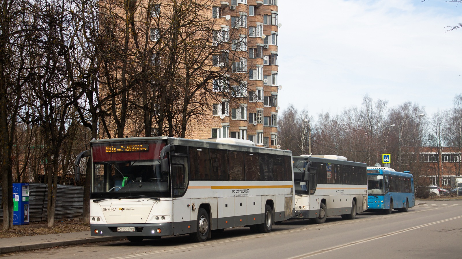 Московская область, ЛиАЗ-5250 № 063037; Московская область, ЛиАЗ-5250 № 063046