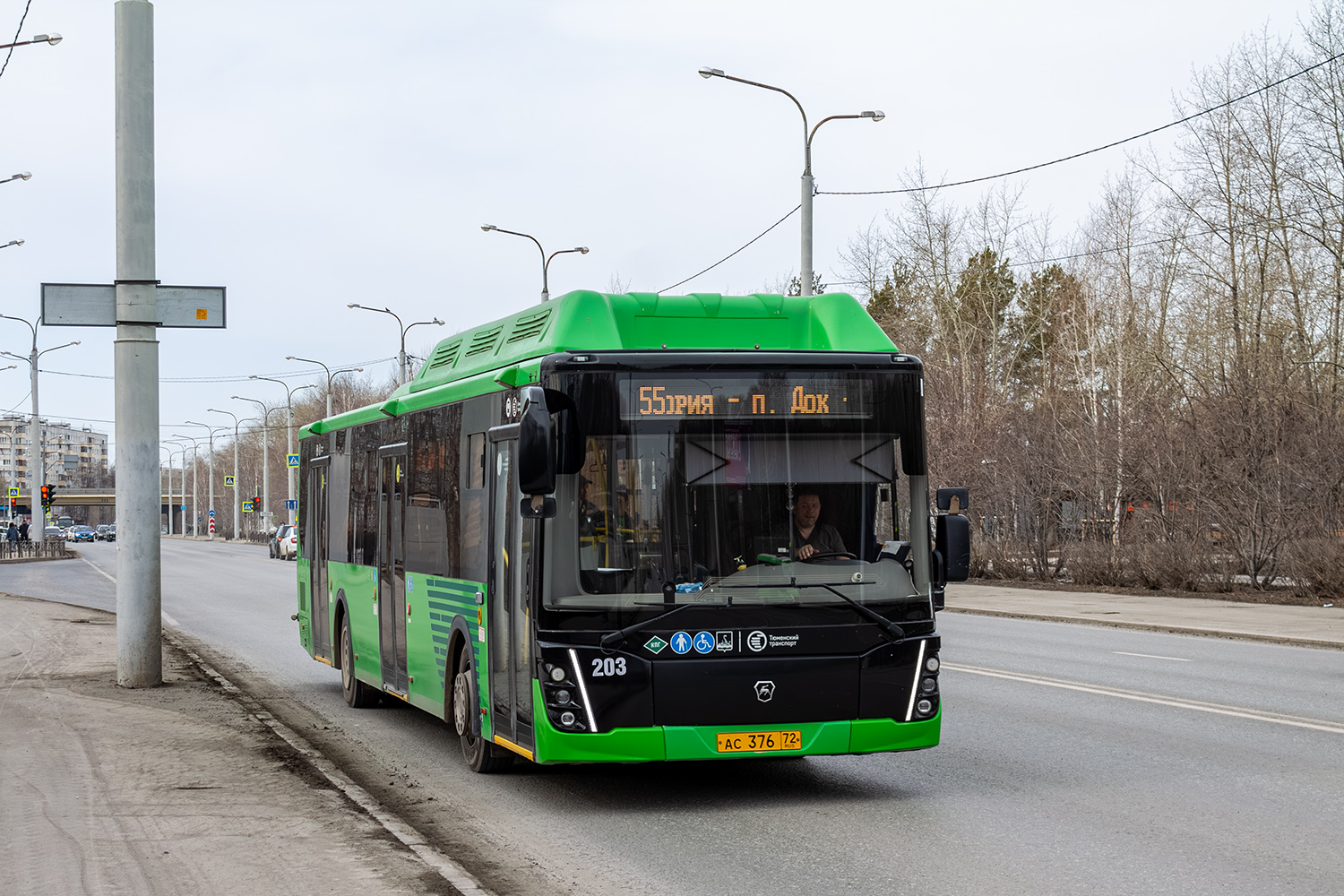 Тюменская область, ЛиАЗ-5292.67 (CNG) № 203