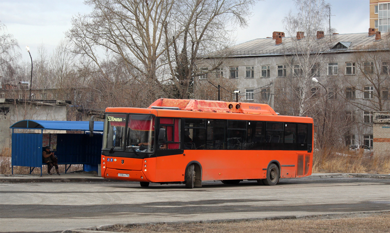 Novosibirsk region, NefAZ-5299-30-51 # Р 338 ОХ 154