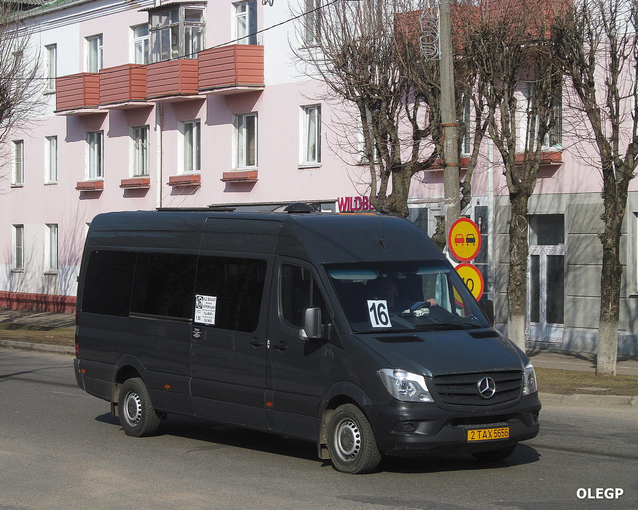 Витебская область, Mercedes-Benz Sprinter W906 310CDI № 2 ТАХ 5656