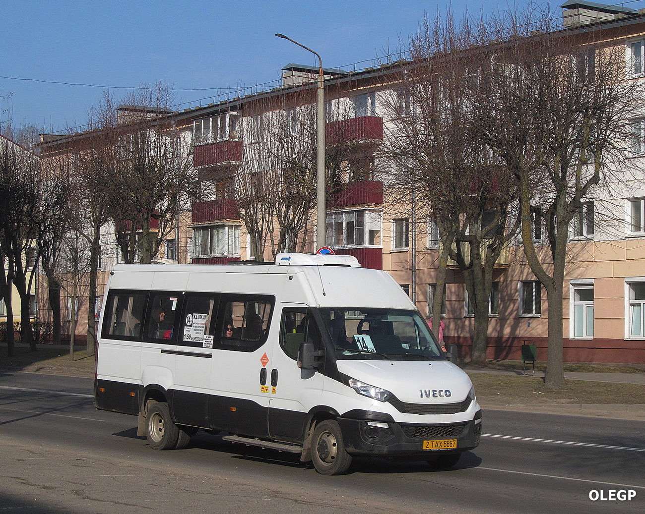 Витебская область, Нижегородец-2227UR (IVECO Daily) № 2 ТАХ 5667