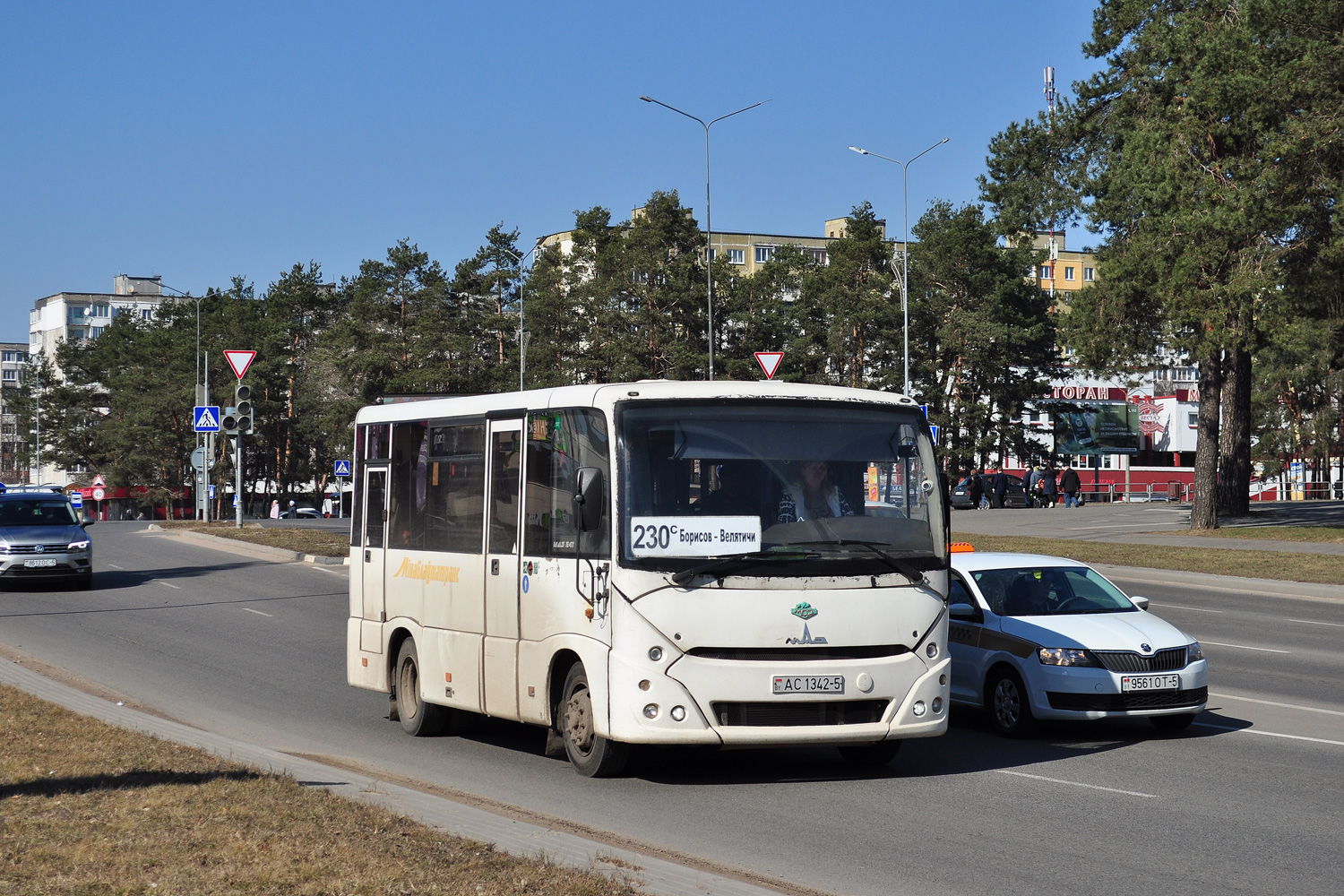 Минская область, МАЗ-241.030 № АС 1342-5 Минская область, МАЗ-241.030 № АС 1342-5