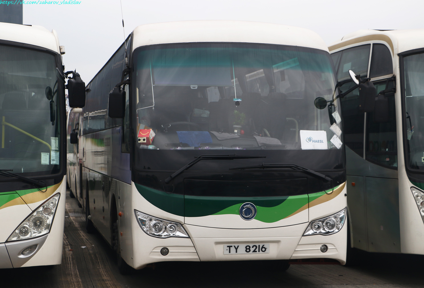 Гонконг, Sunlong SLK6112LYA № TY 8216