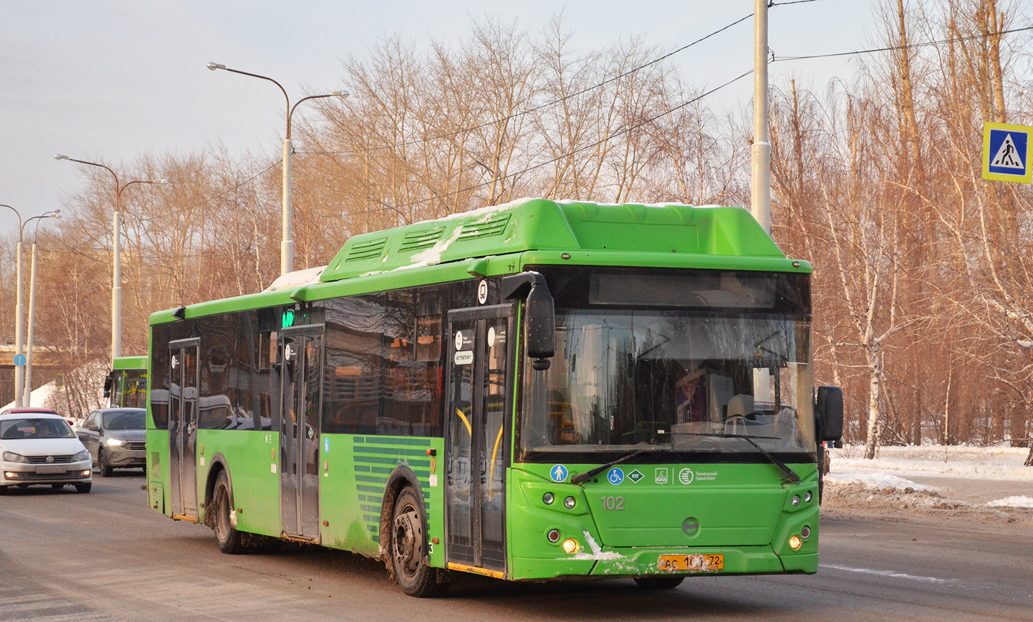 Тюменская область, ЛиАЗ-5292.67 (CNG) № 102