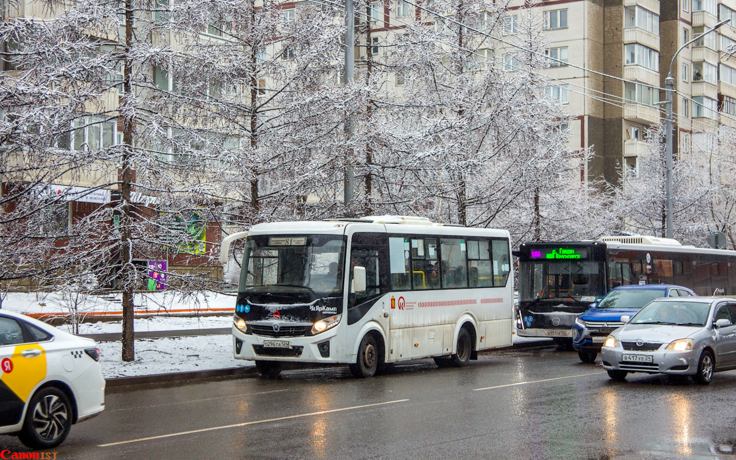 Красноярский край, ПАЗ-320435-04 "Vector Next" № О 296 ТА 124